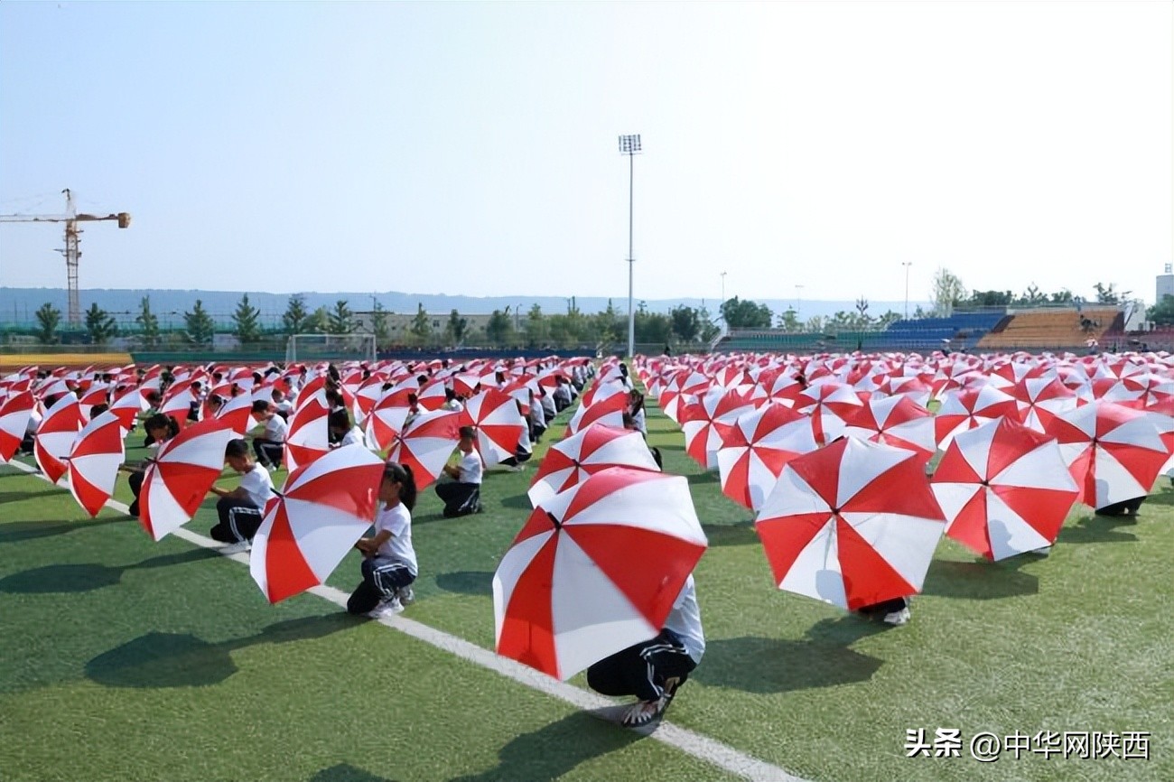 宝鸡市足球比赛眉县冠军_宝鸡眉县足球场_宝鸡足球俱乐部