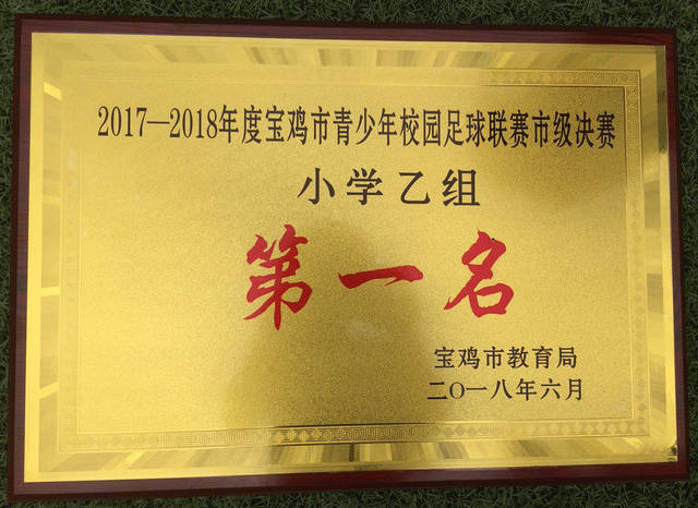 宝鸡市足球比赛眉县冠军_宝鸡足球运动员_宝鸡眉县足球场