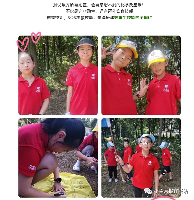 江苏省击剑冠军赛_江苏击剑世界冠军_江苏室内击剑比赛冠军是谁