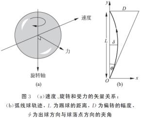 西班牙足球队_求西班牙足球队的历史_西班牙足球队历史战绩