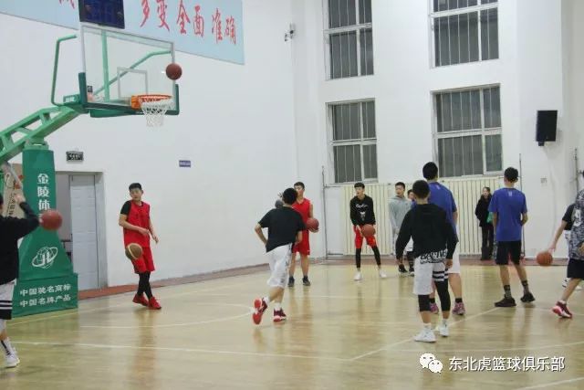 东北篮球规则_东北篮球队_东北篮球人才太多