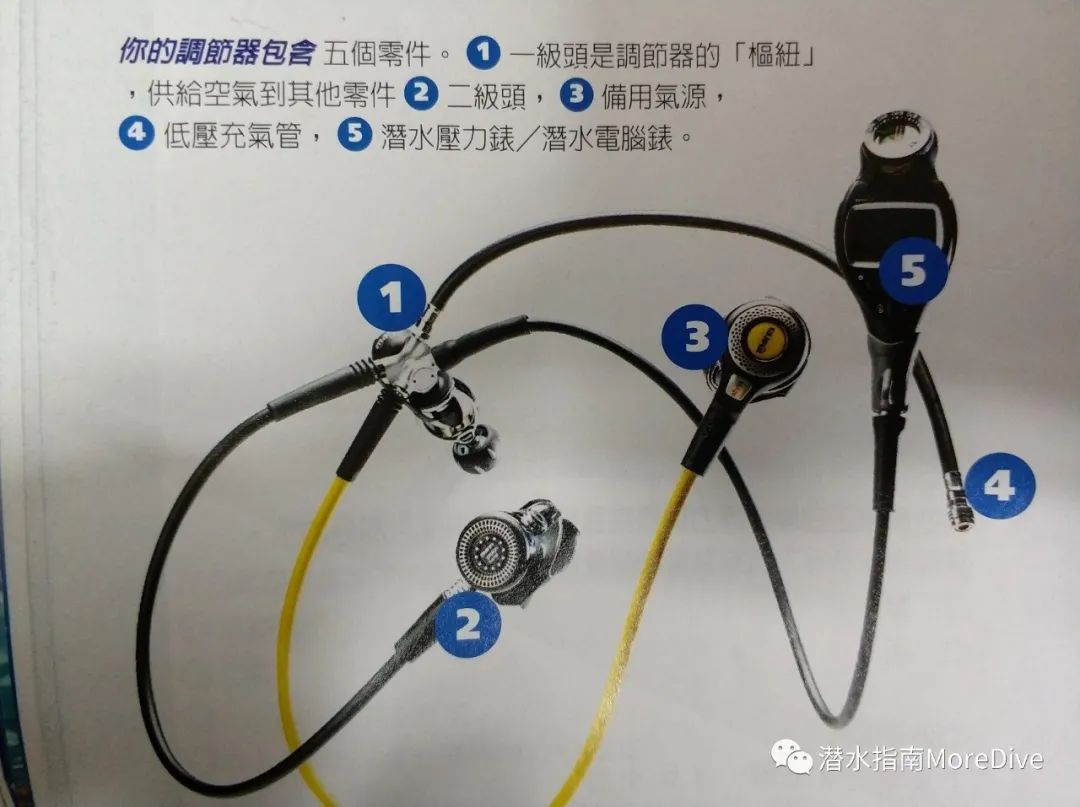 游泳时吸气小技巧视频教程_初学游泳吸气窍门_游泳如何吸气和呼气视频