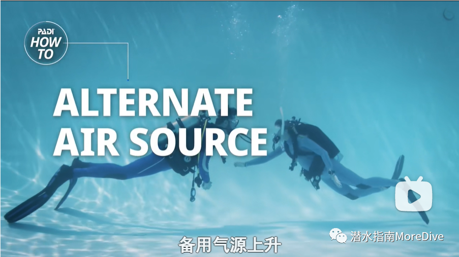 游泳如何吸气和呼气视频_初学游泳吸气窍门_游泳时吸气小技巧视频教程