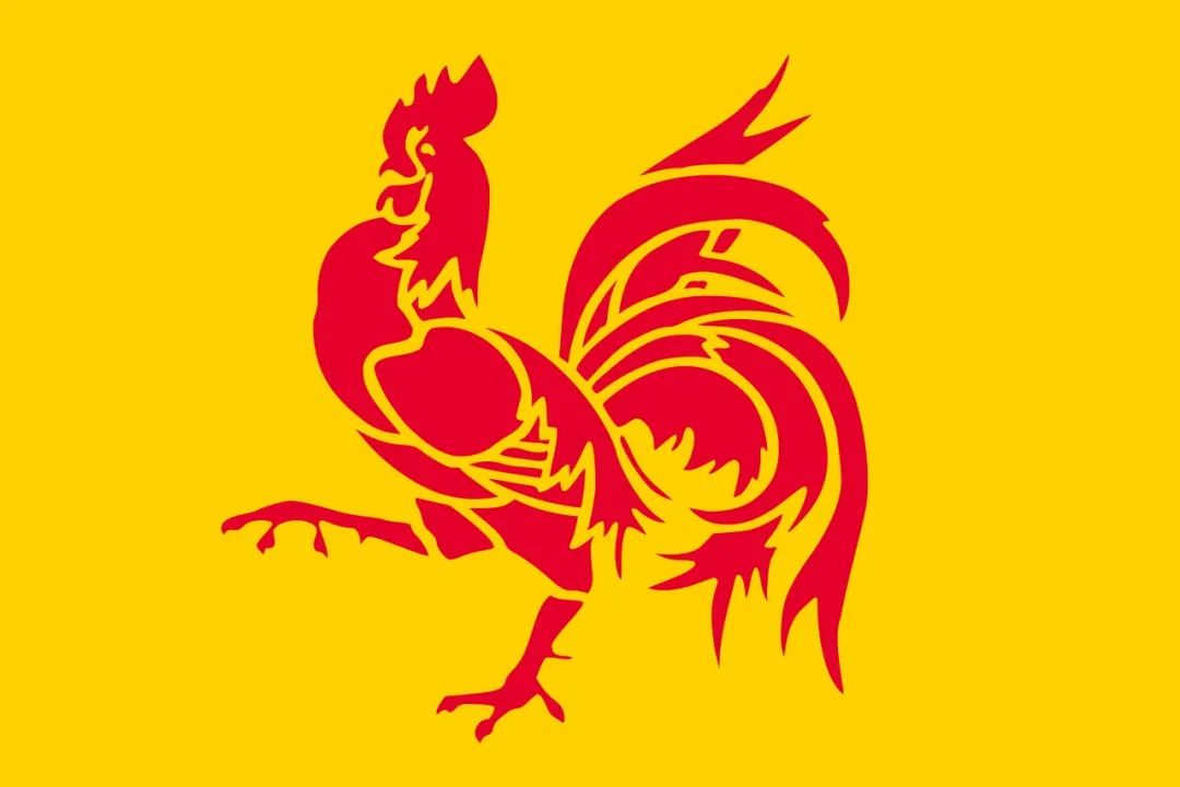巴西足球队员历史地位排名_巴西队员足球地位排名历史最新_巴西足球队历届队员名单