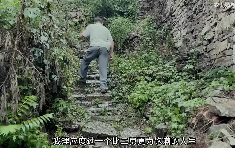 巴西足球球王是谁_巴西足球球王历史战绩_巴西历史足球球王